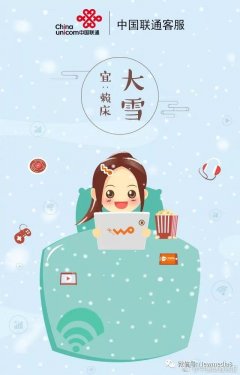 2017大雪節(jié)氣借力視覺創(chuàng)意案例集